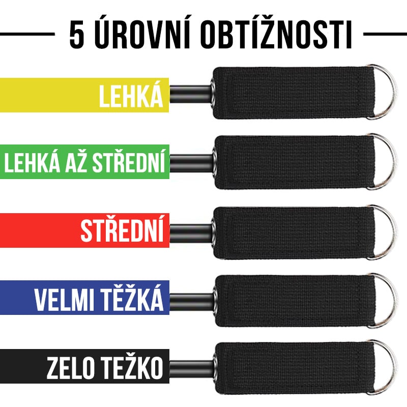 vivozebra.cz